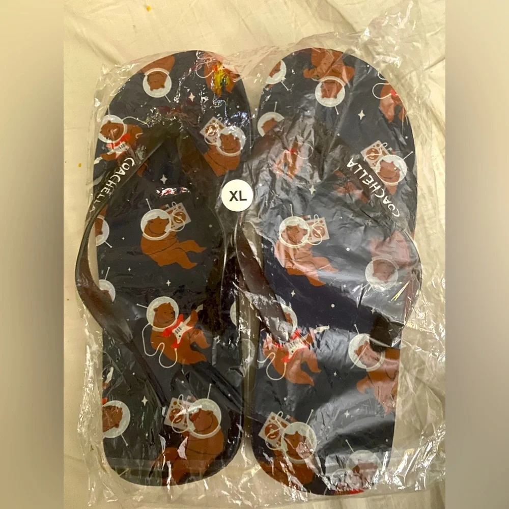 Coachella Music Festival Flip Flops New Sealed Bag Sz XL Black Red Brown White.